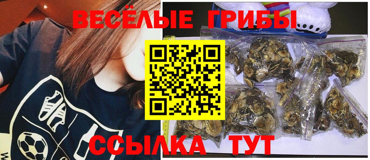 Галлюциногенные грибы GOLDEN TEACHER Норильск