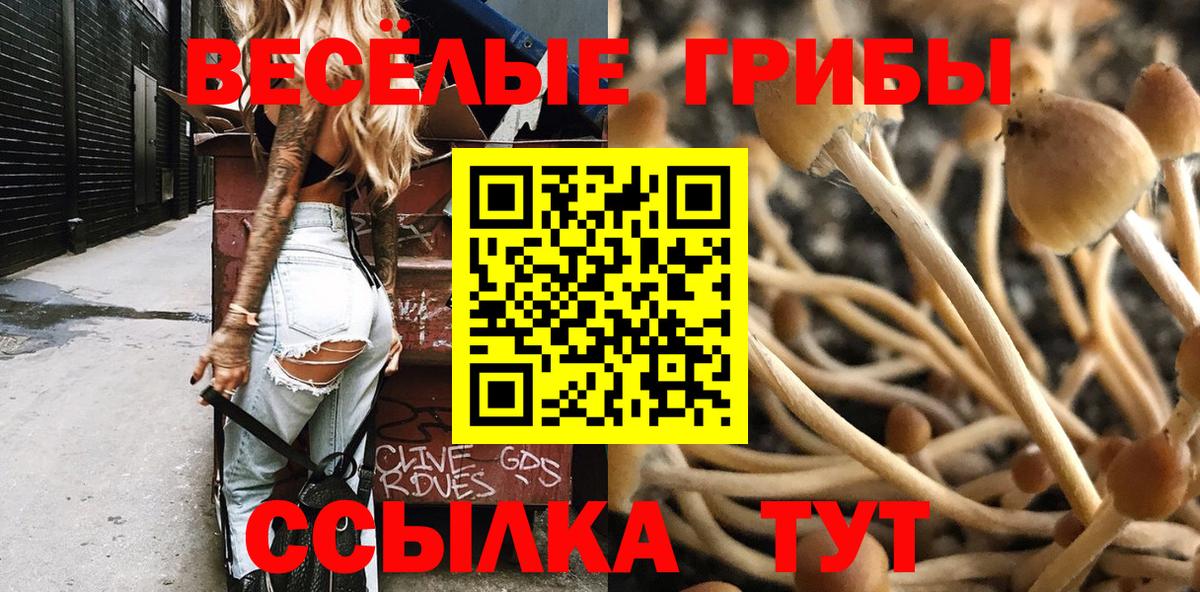 Галлюциногенные грибы GOLDEN TEACHER  Вход с VPN  Норильск 